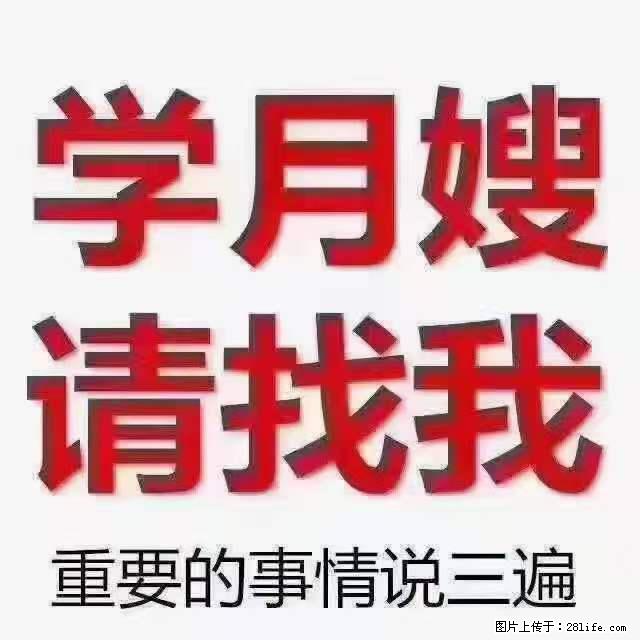 为什么要学习月嫂，育婴师？ - 新手上路 - 上海生活社区 - 上海28生活网 sh.28life.net