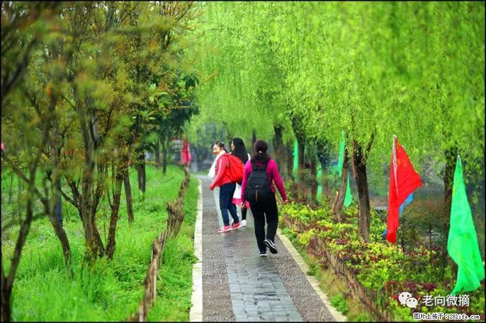 【春天，广西桂林灌阳县向您发出邀请！】江口老街又逢春 - 游山玩水 - 上海生活社区 - 上海28生活网 sh.28life.net