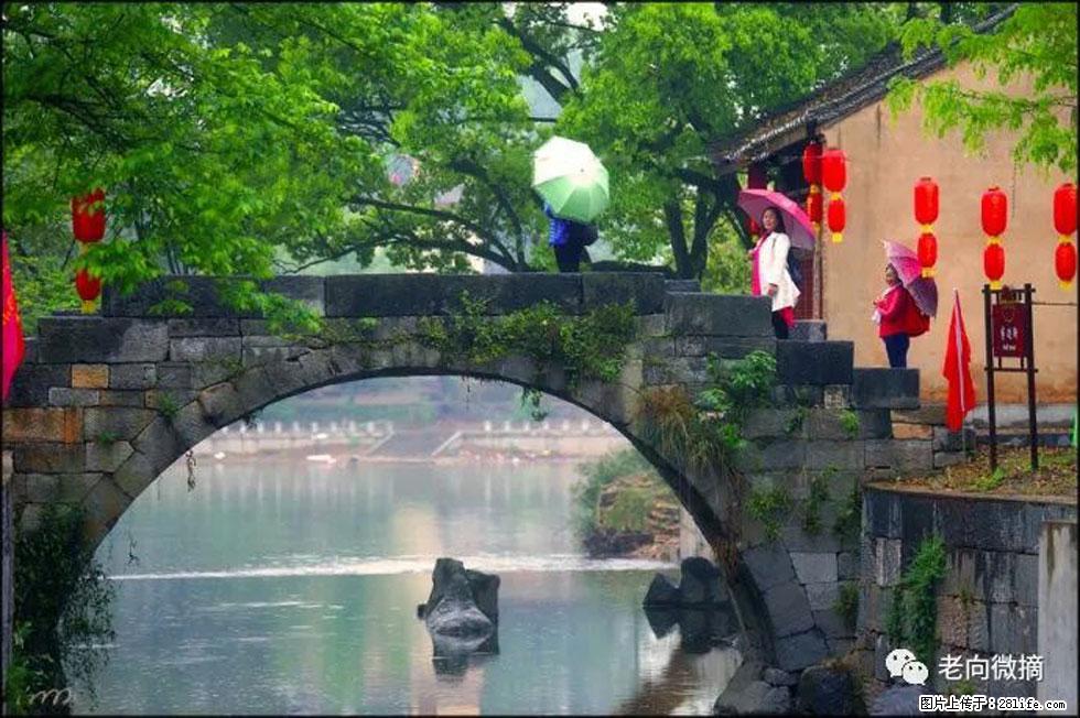【春天，广西桂林灌阳县向您发出邀请！】江口老街又逢春 - 游山玩水 - 上海生活社区 - 上海28生活网 sh.28life.net