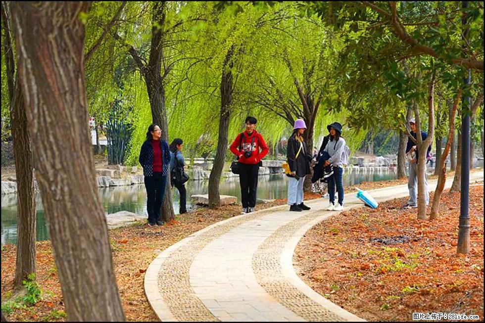 【春天，广西桂林灌阳县向您发出邀请！】江口老街又逢春 - 游山玩水 - 上海生活社区 - 上海28生活网 sh.28life.net