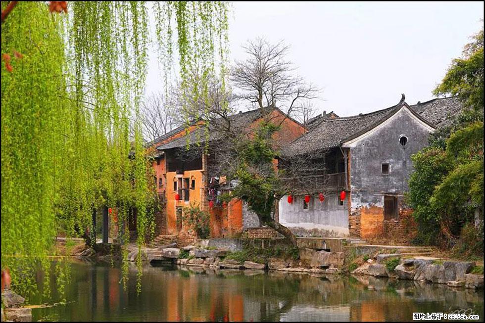 【春天，广西桂林灌阳县向您发出邀请！】江口老街又逢春 - 游山玩水 - 上海生活社区 - 上海28生活网 sh.28life.net