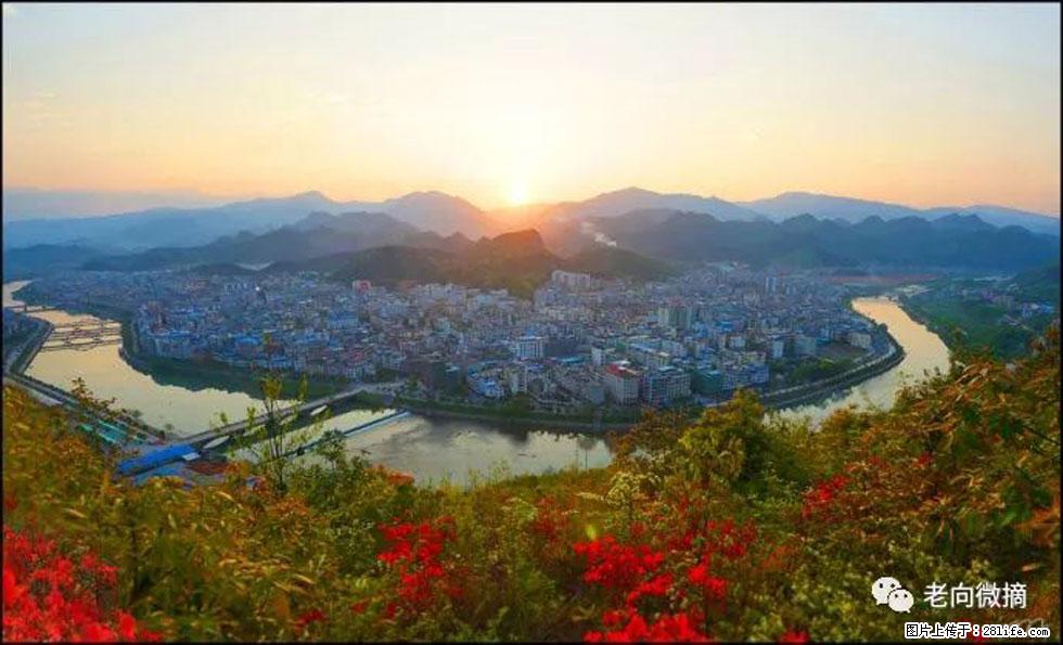 【春天，广西桂林灌阳县向您发出邀请！】登麒麟山，相约映山红 - 游山玩水 - 上海生活社区 - 上海28生活网 sh.28life.net