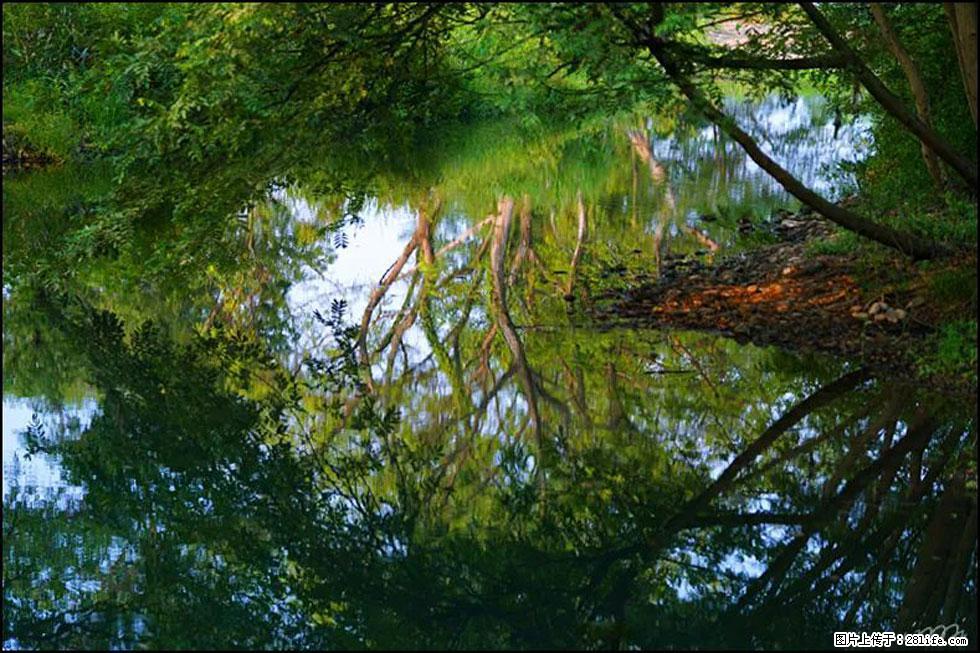 【春天，广西桂林灌阳县向您发出邀请！】熊家寨湿地公园 - 游山玩水 - 上海生活社区 - 上海28生活网 sh.28life.net