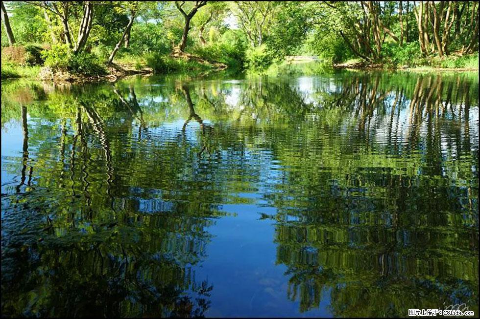 【春天，广西桂林灌阳县向您发出邀请！】熊家寨湿地公园 - 游山玩水 - 上海生活社区 - 上海28生活网 sh.28life.net
