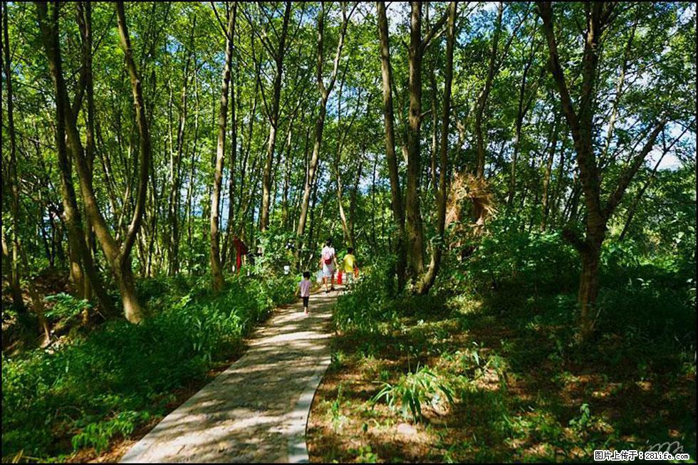 【春天，广西桂林灌阳县向您发出邀请！】熊家寨湿地公园 - 游山玩水 - 上海生活社区 - 上海28生活网 sh.28life.net