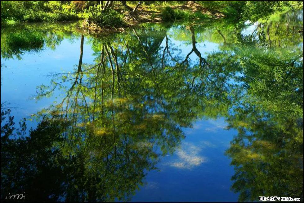 【春天，广西桂林灌阳县向您发出邀请！】熊家寨湿地公园 - 游山玩水 - 上海生活社区 - 上海28生活网 sh.28life.net
