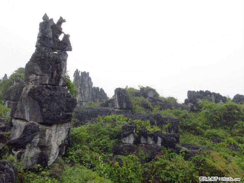 桂林旅游名城景点：灌阳文市石林 - 游山玩水 - 上海生活社区 - 上海28生活网 sh.28life.net