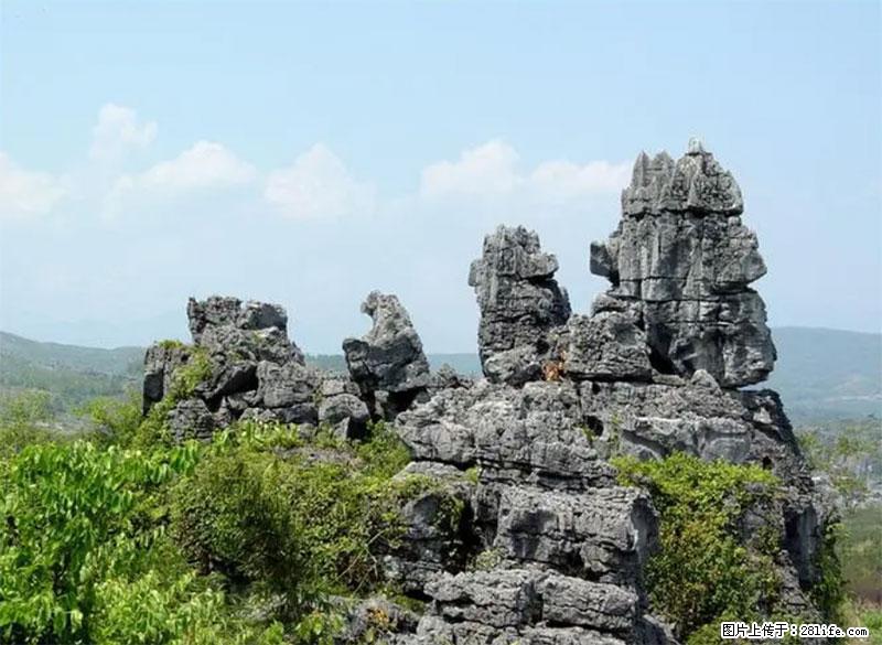 桂林旅游名城景点：灌阳文市石林 - 游山玩水 - 上海生活社区 - 上海28生活网 sh.28life.net