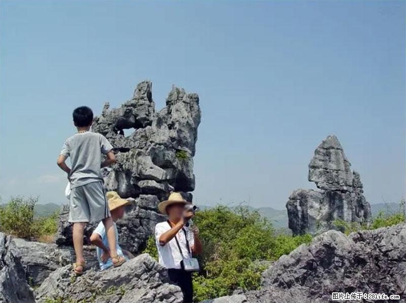 桂林旅游名城景点：灌阳文市石林 - 游山玩水 - 上海生活社区 - 上海28生活网 sh.28life.net