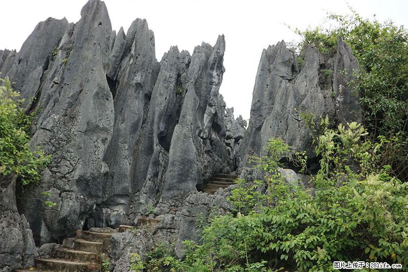 桂林旅游名城景点：灌阳文市石林 - 游山玩水 - 上海生活社区 - 上海28生活网 sh.28life.net