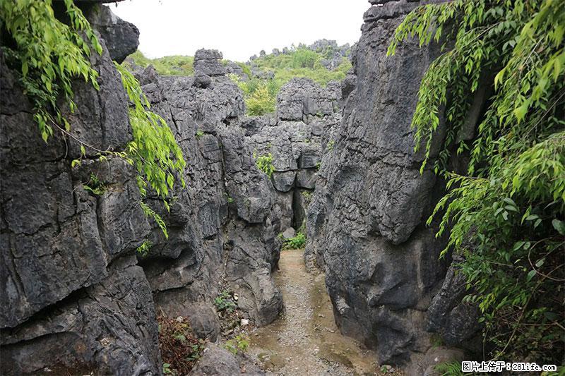 桂林旅游名城景点：灌阳文市石林 - 游山玩水 - 上海生活社区 - 上海28生活网 sh.28life.net