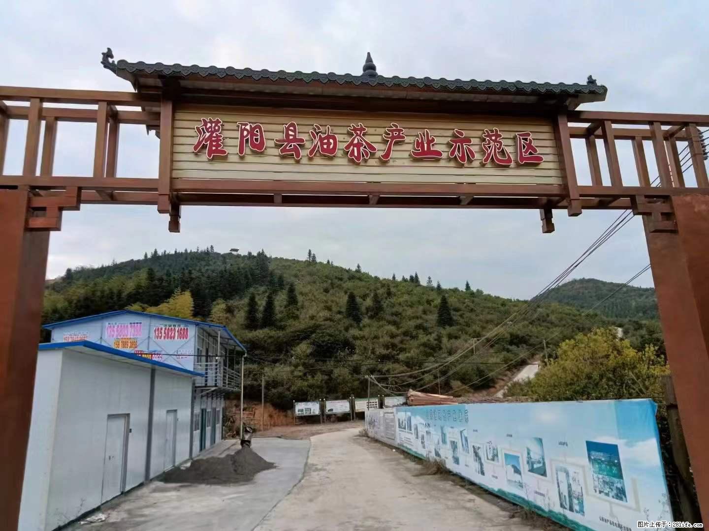 【灌阳县油茶产业示范区】一个有着充实的精神生活的人，对待身外之物自会有一种淡泊的态度 - 土特产 - 饮食特产 - 上海分类信息 - 上海28生活网 sh.28life.net