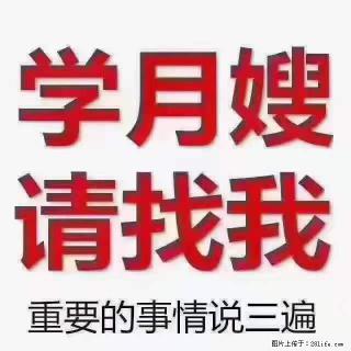 为什么要学习月嫂，育婴师？ - 上海28生活网 sh.28life.net