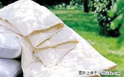 被子有异味？只要这样做，比晒太阳还强100倍！ - 家居生活 - 上海生活社区 - 上海28生活网 sh.28life.net
