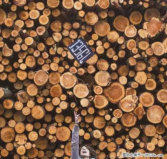 辞掉工作周游世界？现在他们在洗厕所…… - 游山玩水 - 上海生活社区 - 上海28生活网 sh.28life.net