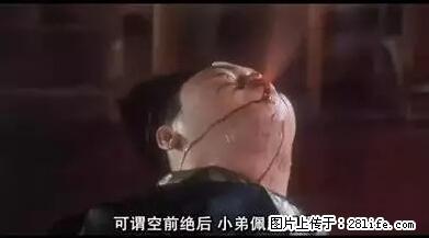 笑癫了！一女的怀孕三年未生，他终于忍不住了... - 娱乐八卦 - 上海生活社区 - 上海28生活网 sh.28life.net