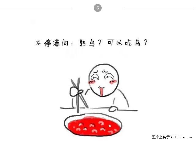 千万不要和这9种哈卵一起吃火锅！ - 美食天地 - 上海生活社区 - 上海28生活网 sh.28life.net