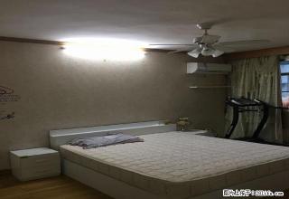 地铁3号4号11号13号线曹杨路站金沙江路站旁男女生公寓 - 上海28生活网 sh.28life.net