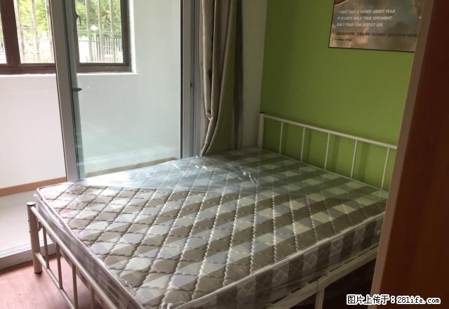 (单间出租)御桥地铁站《精装简洁》《青客风格》《简洁不简单》1350！！ - 房屋出租 - 房屋租售 - 上海分类信息 - 上海28生活网 sh.28life.net