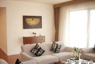 精装修交通便利采光好视野开阔拎包入住房间干净卫生周边设施齐全 - 上海28生活网 sh.28life.net