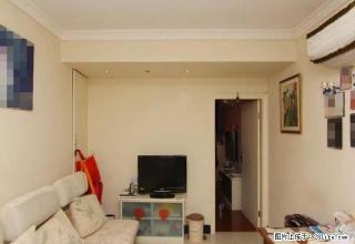 丽都成品 新出大一房 先到先得 近巨峰路6、12地铁文峰广场 - 上海28生活网 sh.28life.net
