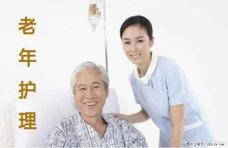 上海国企养老院，星级酒店环境，招聘养老护工 - 职场交流 - 上海生活社区 - 上海28生活网 sh.28life.net