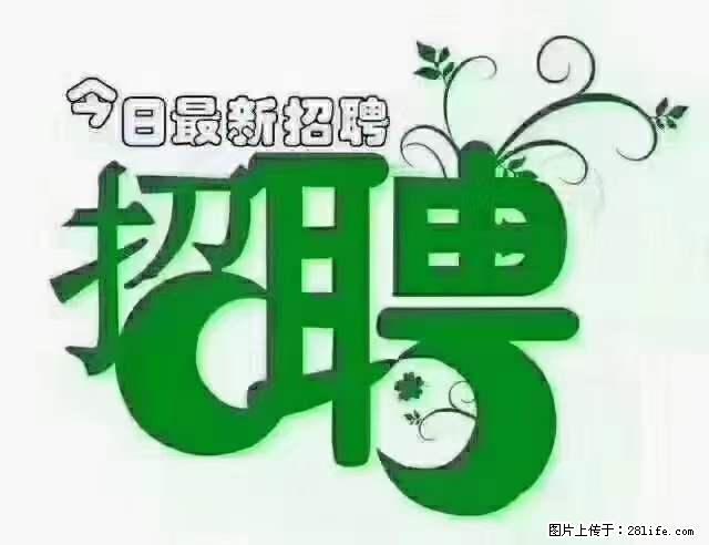【招聘摄像师】待遇：试用期6000元/月，转正7000元/月+五险一金+餐补+节日福利+奖金 - 其他招聘信息 - 招聘求职 - 上海分类信息 - 上海28生活网 sh.28life.net