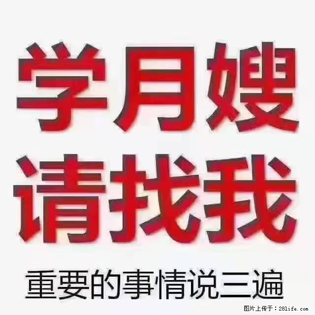 【招聘】月嫂，上海徐汇区 - 其他招聘信息 - 招聘求职 - 上海分类信息 - 上海28生活网 sh.28life.net