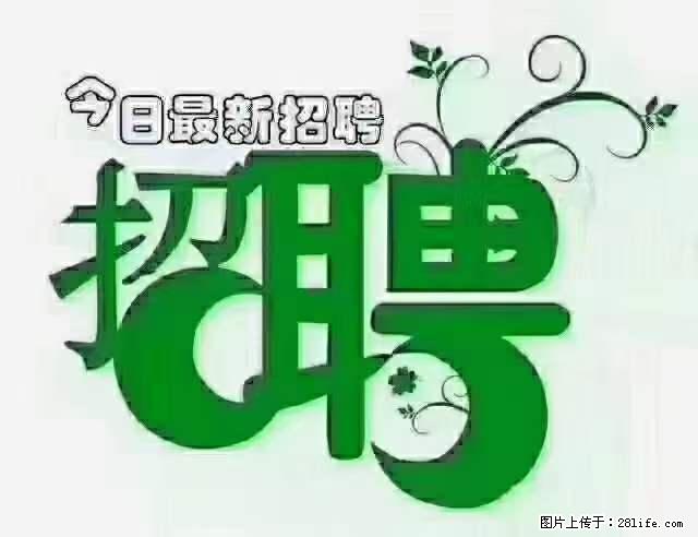 上海隔离酒店招人：55岁以下 男女不限 - 职场交流 - 上海生活社区 - 上海28生活网 sh.28life.net