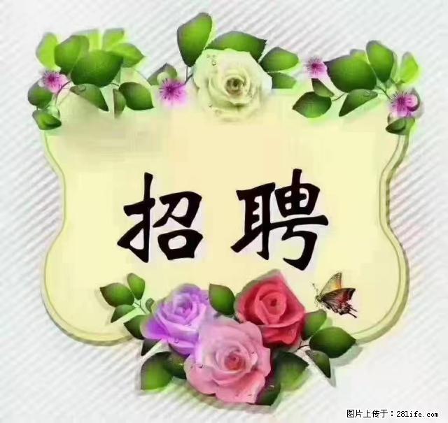 【招聘】住家育儿嫂，上户日期：4月4日，工作地址：上海 黄浦区 - 其他招聘信息 - 招聘求职 - 上海分类信息 - 上海28生活网 sh.28life.net