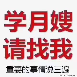 【招聘】月嫂，上海徐汇区 - 上海28生活网 sh.28life.net