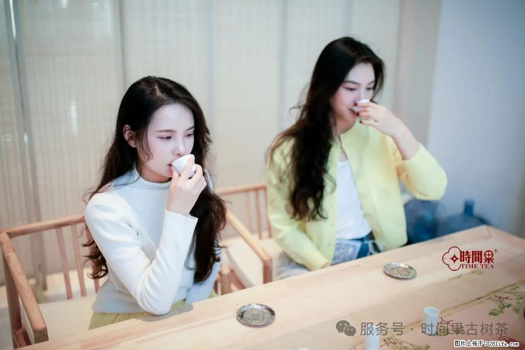 时间果百年古树龙珠普洱生茶 - 购物交流 - 上海生活社区 - 上海28生活网 sh.28life.net