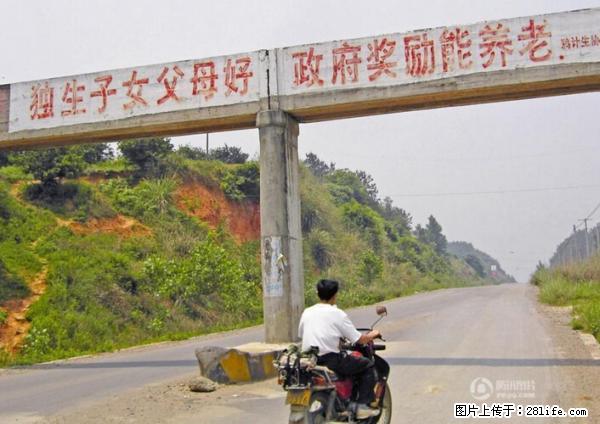 全面两孩政策计划明年元旦起实施 夫妻可延长生育假 - 上海生活资讯 - 上海28生活网 sh.28life.net