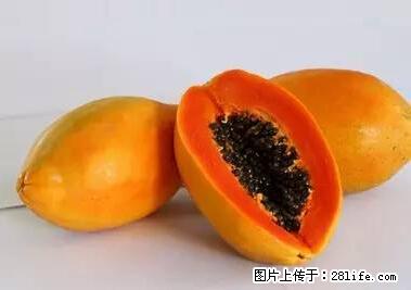 晕车、脚气、牙齿变黄、皮肤粗糙？学会这些三分钟搞定！ - 上海生活资讯 - 上海28生活网 sh.28life.net