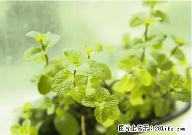 晕车、脚气、牙齿变黄、皮肤粗糙？学会这些三分钟搞定！ - 上海生活资讯 - 上海28生活网 sh.28life.net