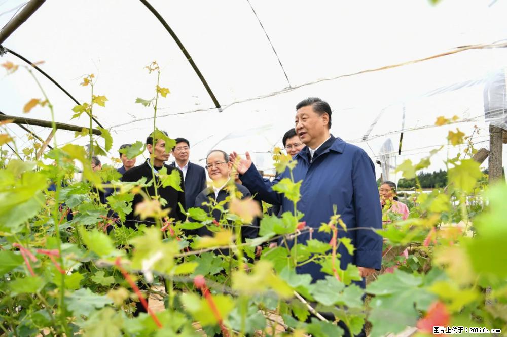 习近平赴广西考察调研 - 上海生活资讯 - 上海28生活网 sh.28life.net