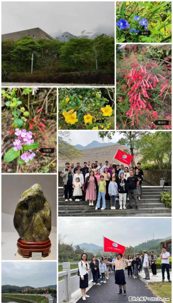 “粤灌文化 美好生活”油茶文化主题活动在广东深圳成功举办 - 上海生活资讯 - 上海28生活网 sh.28life.net