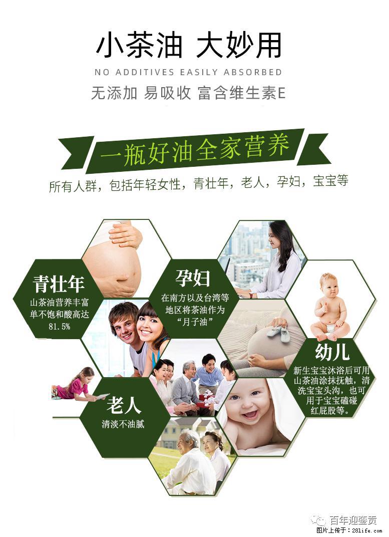 世界没有真相，只有认知，最好的食用油是中国的山茶油！ - 上海生活资讯 - 上海28生活网 sh.28life.net