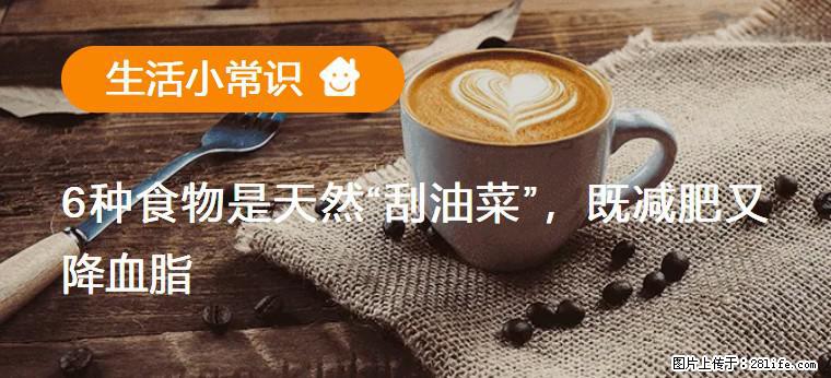 【生活小常识】6种食物是天然“刮油菜”，既减肥又降血脂 - 上海生活资讯 - 上海28生活网 sh.28life.net