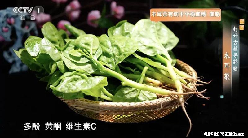 比牛奶补钙还厉害！凉血解毒、稳血糖...这菜冬天必吃，很多人却当草 - 上海生活资讯 - 上海28生活网 sh.28life.net