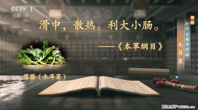 比牛奶补钙还厉害！凉血解毒、稳血糖...这菜冬天必吃，很多人却当草 - 上海生活资讯 - 上海28生活网 sh.28life.net