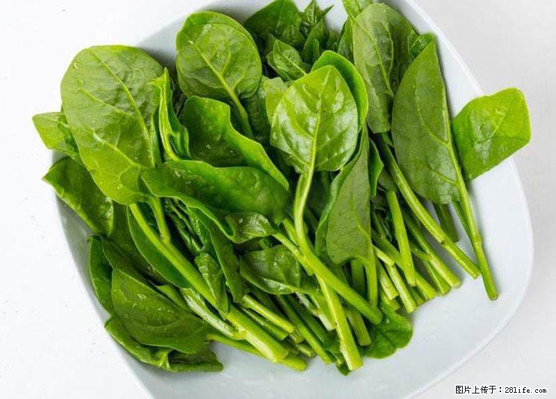 这些蔬菜是“天然钙片”，这6种被医生重点推荐 - 上海生活资讯 - 上海28生活网 sh.28life.net