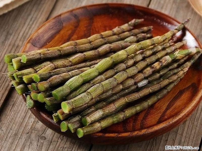 铁皮石斛的作用与功能主治 - 上海生活资讯 - 上海28生活网 sh.28life.net