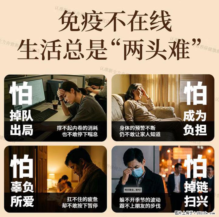 高压职场人肠胃不适如何调理？2026热门灵芝孢子粉选购指南，护肠改善便秘 - 上海生活资讯 - 上海28生活网 sh.28life.net