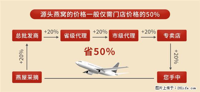 孕期滋养燕窝推荐,2026优质溯源燕窝,备孕营养品安心吃 - 上海生活资讯 - 上海28生活网 sh.28life.net